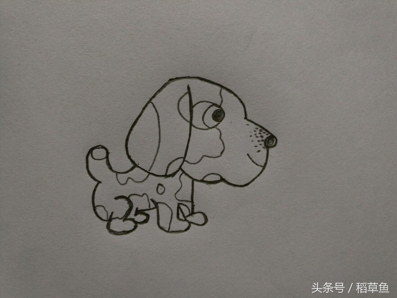 12生肖完整图片马的简笔画,12生肖中的狗简笔画怎么画