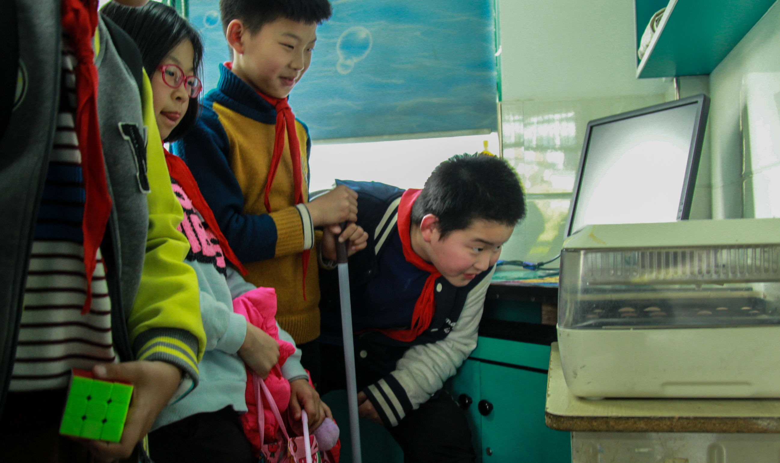 小学四年级班里集中采购了36只种蛋就是为了孵小鸡！