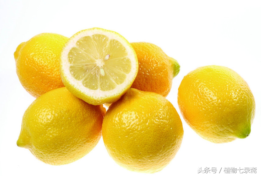 阳台种植柠檬竟然能结这么多,阳台种柠檬种子