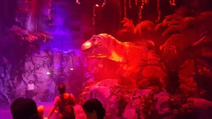 长隆野生动物园一天怎么玩,长隆野生动物园一天游不完怎么住