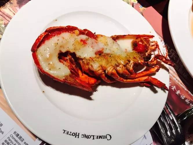 广州长隆野生动物园游玩路线攻略,广州番禺长隆野生动物园详细攻略