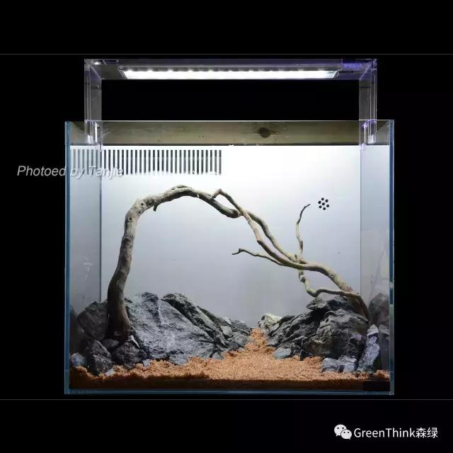 水草缸造景大师视频大全,水草造景大师