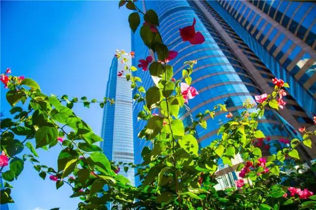 香港tvb的发展历程,香港tvb怀旧之旅