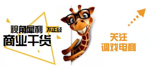 这家神秘的电商企业究竟如何 (美国当下最火的电商公司)