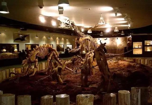 魔法宝贝门票,魔法宝贝团购