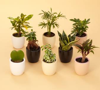 日本哪些东西便宜又好用,日本必买100元以内的东西