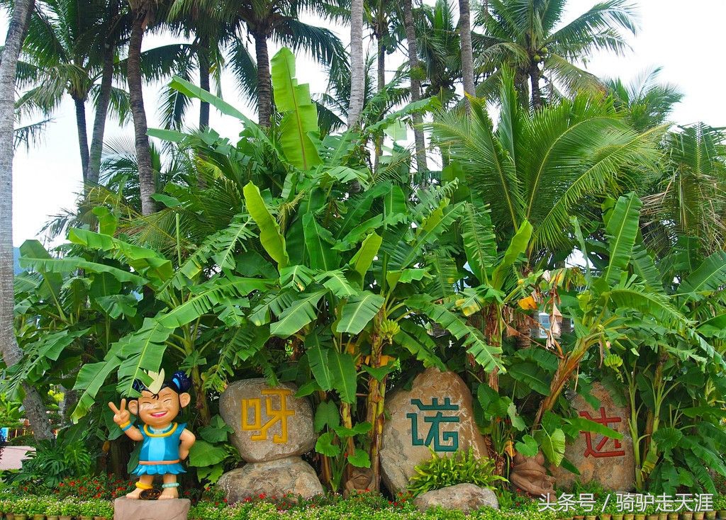 骑驴走天涯完整版,骑驴上三亚