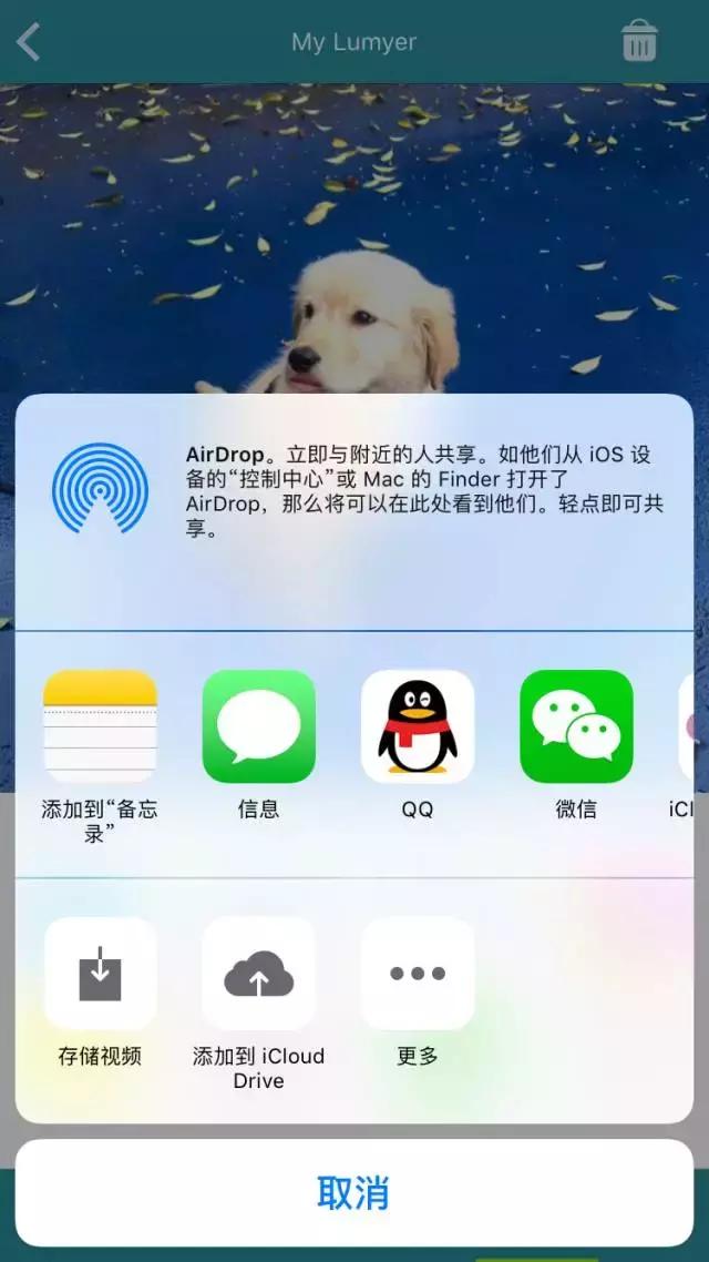 铲屎官拍同款,铲屎官的建议