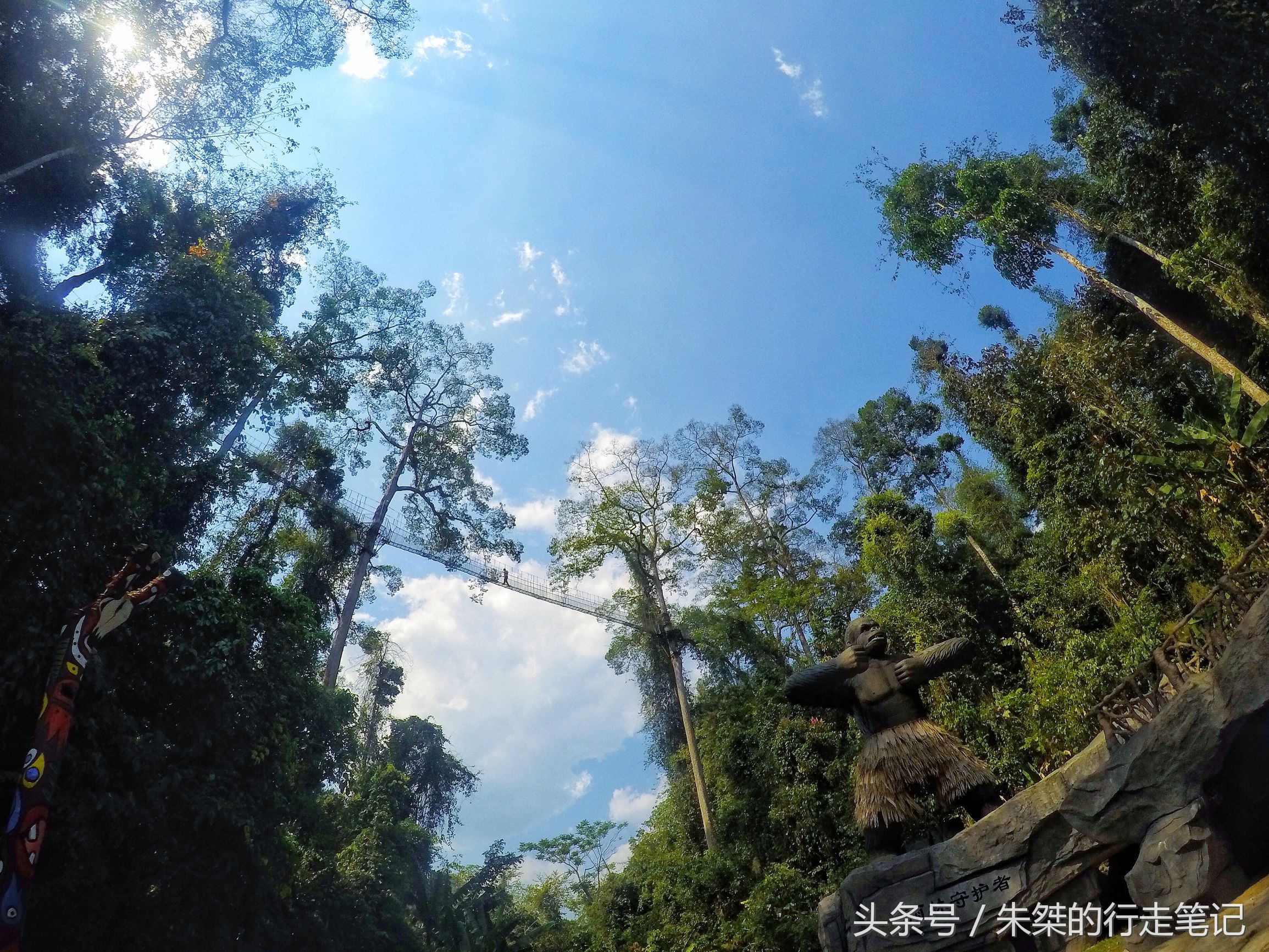 版纳颈椎治疗,西双版纳治疗颈椎好的按摩仪器