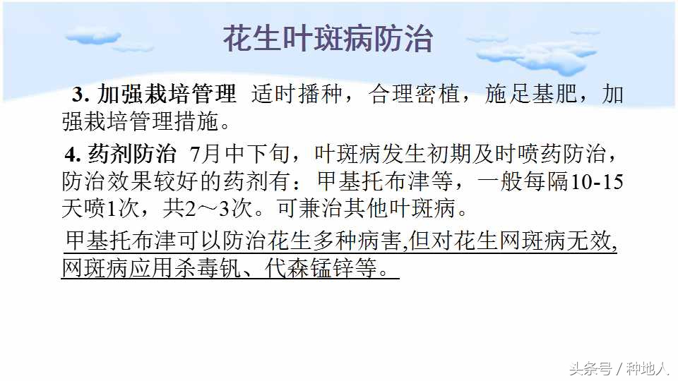 马上开始播种花生,快要种花生了