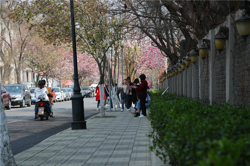 慢行津门，悠*行游**摄——小C的遇见天津之旅