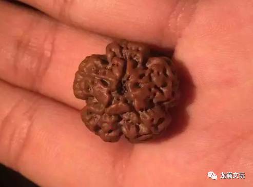 变形金刚假的冒牌货,金刚如何辨别品种和品相