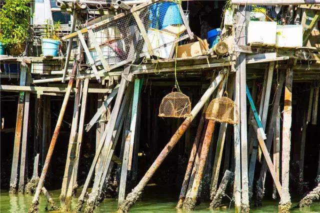 香港tvb的发展历程,香港tvb怀旧之旅
