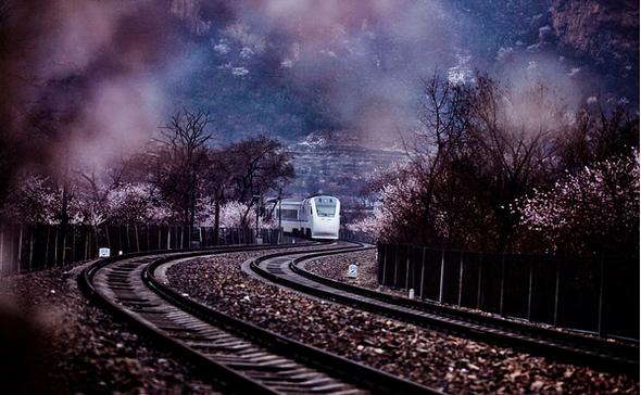 春季手机摄影大赛,摄影有哪些大赛