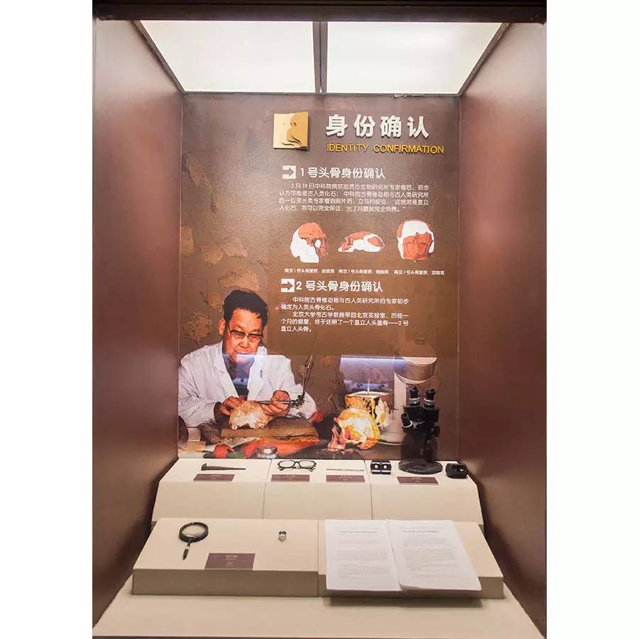 探寻人类的起源之谜,探寻人类祖先的奥秘