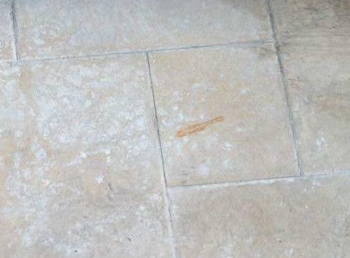 装修时满地乳胶漆怎么处理,新房装修乳胶漆掉在地上怎么清理