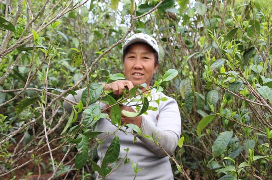浜戝崡鍕愬簱鎴庢皬鍒惰尪涓栧,鍕愬簱鎴庢皬鍒惰尪宸ヨ壓