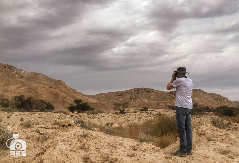 中东荒漠中的“特殊旅行”