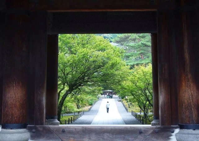 念念不忘必有回响日语,念念不忘必有回响再次相见