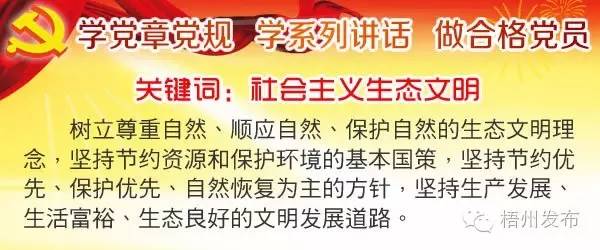 梧州市五一假期去哪玩,梧州五一假期去哪玩