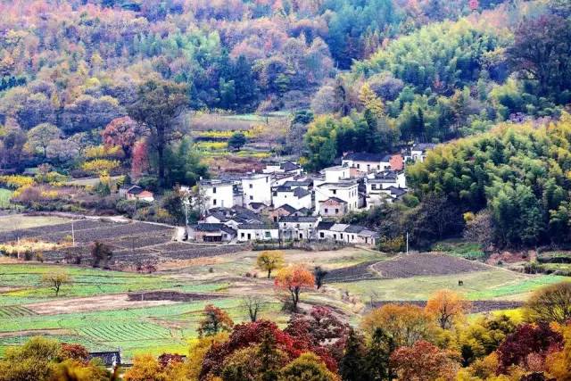 上海高铁到黄山4日游攻略,上海高铁到黄山旅行攻略