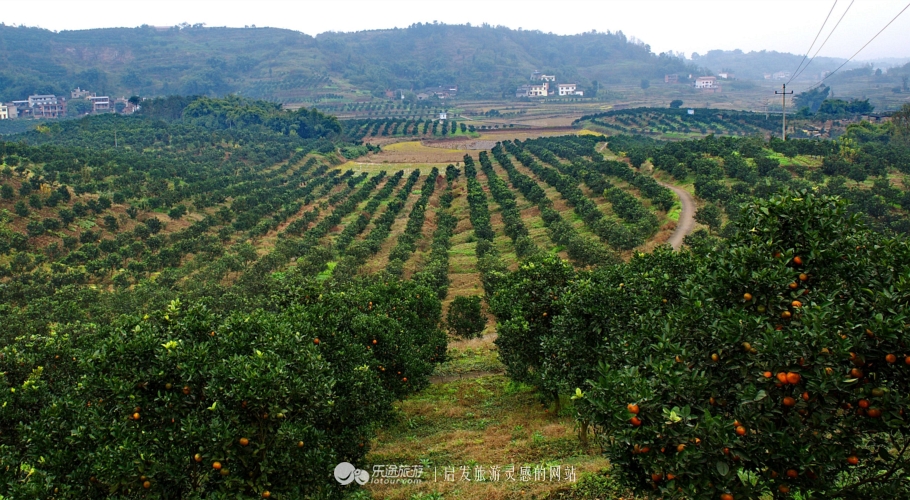 推开石门登一山拜一佛,你就修得了正果
