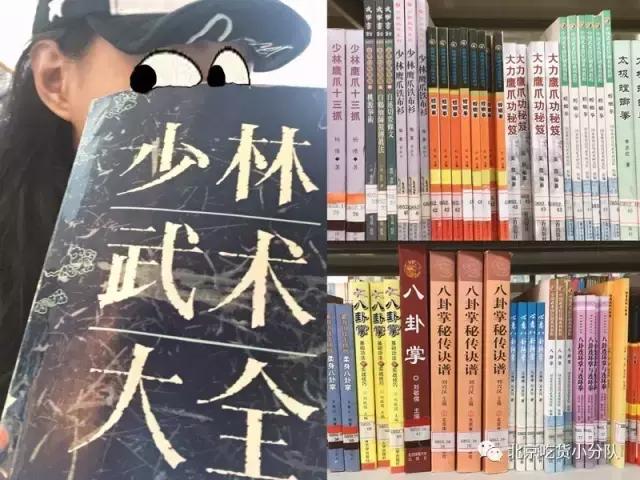 鍒汉瀹剁殑椋熷爞绯诲垪,鍖椾含浣撹偛澶у椋熷爞