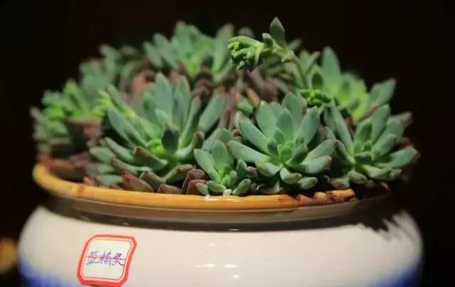 宜昌居然还有这样“见不得人”的花花世界？