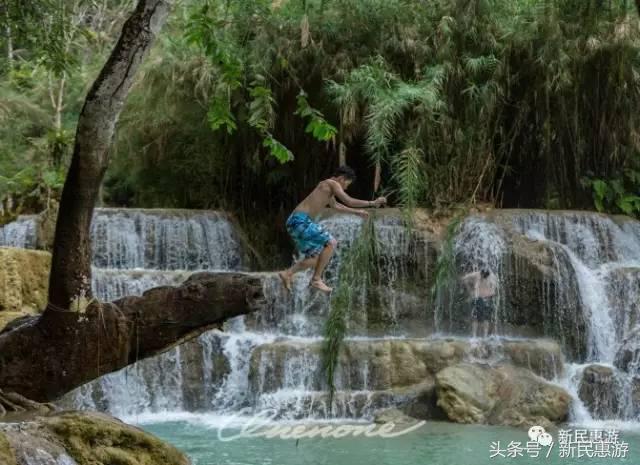 琅勃拉邦，菩提树下万人欢愉