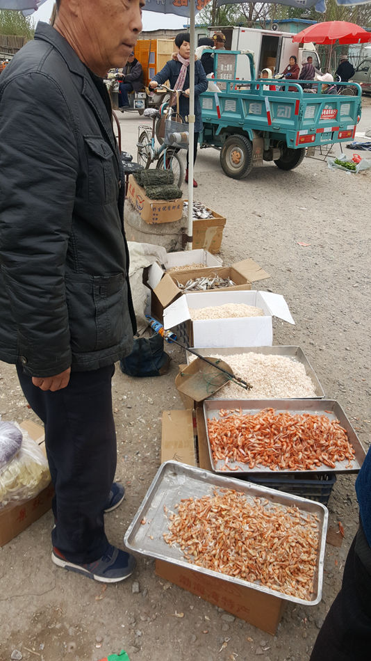 唐山市乐亭县大集,河北唐山乐亭大集