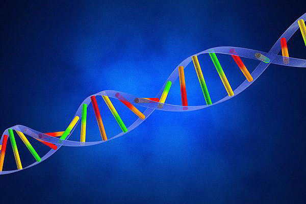 遗传性高血压能做基因检测吗,大连哪里能做高血压基因检测