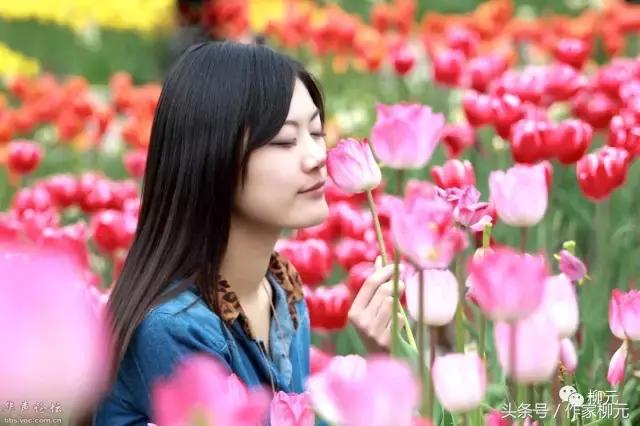 银川花博园郁金香花海,银川花博园游览图