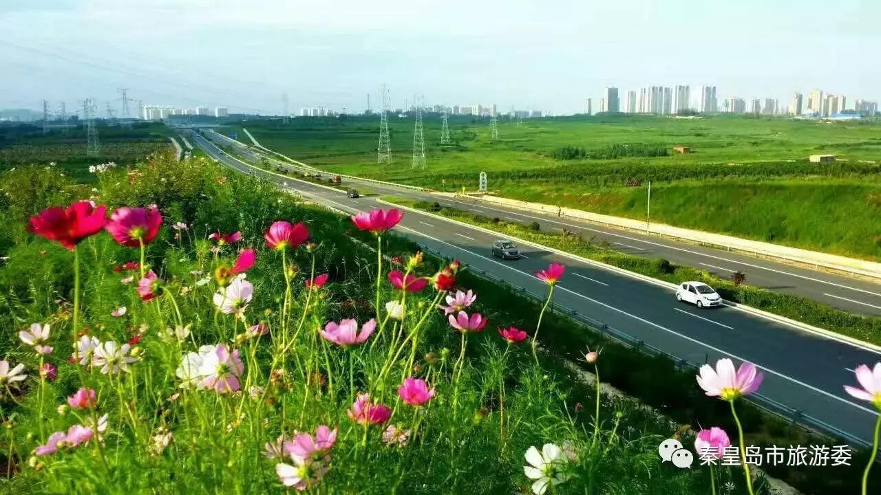 给所有秦皇岛人,这里有一份春天请你查收!