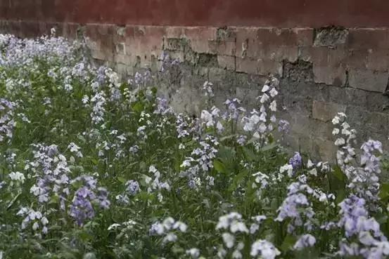 佳能800d与77d哪个更好有什么区别,佳能77d和佳能800d哪个值得入手