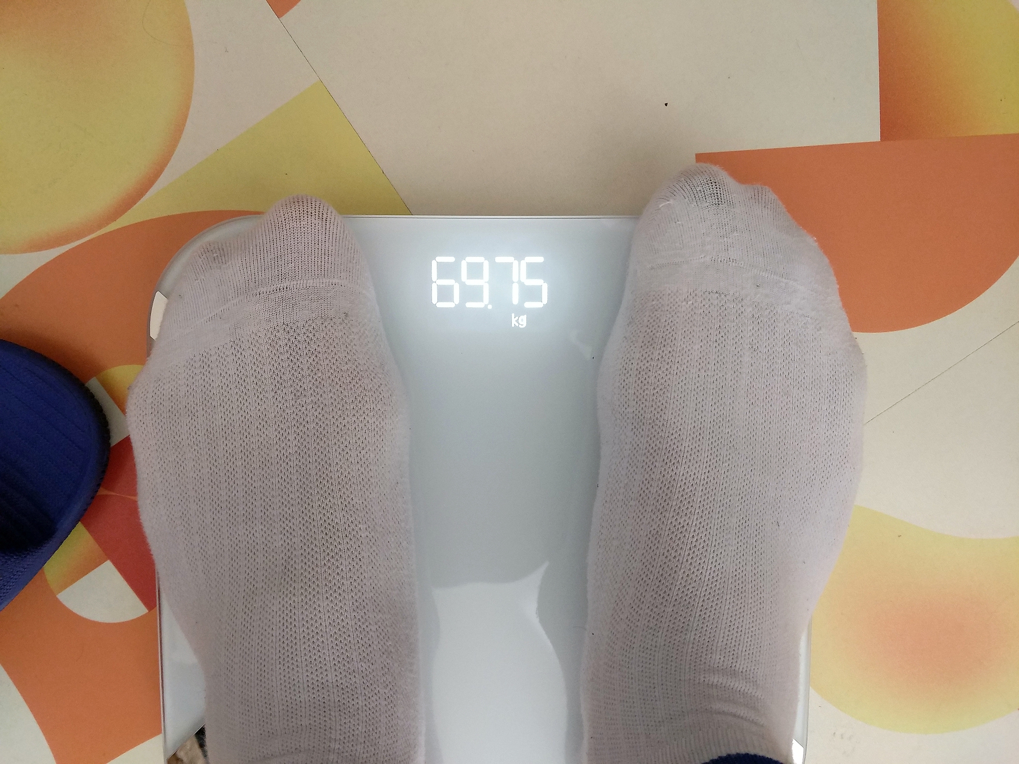 方便携带的yolanda体脂秤,yolanda体脂秤需要校准吗