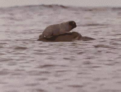 美国快递到底有多暴利,美国快递反映了美国人的什么