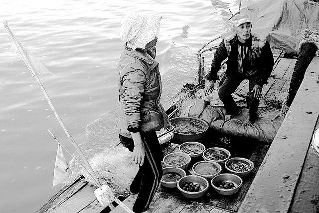 老地主完整视频,老地主53集大结局