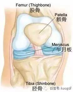 半月板受伤康复训练中医,半月板二度损伤积液水肿康复训练