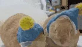 我的地盘听我的,我的地盘听我的翻唱现场