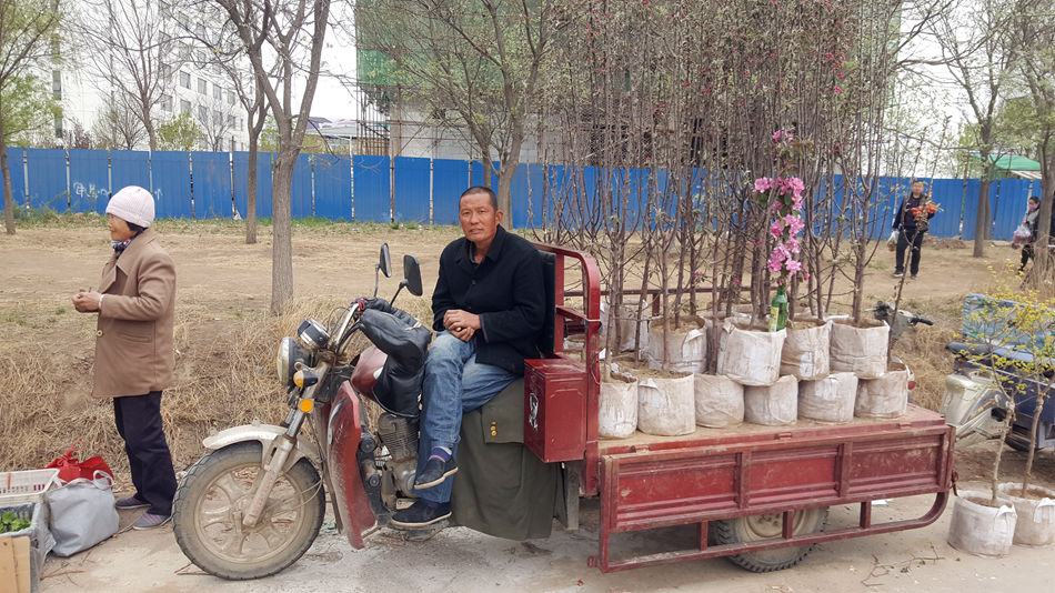 唐山市乐亭县大集,河北唐山乐亭大集