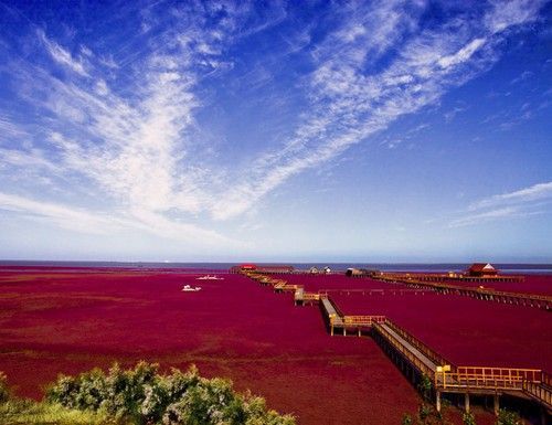 盘锦市最牛的1个区和最牛的1个县