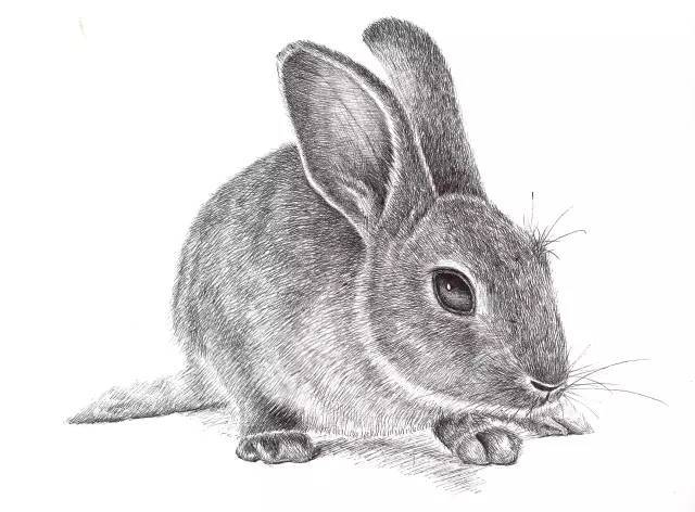 学生画的名画,学霸画名画