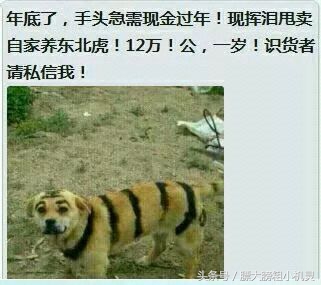 每日一笑汽车防盗,每日轻松一笑跑车视频