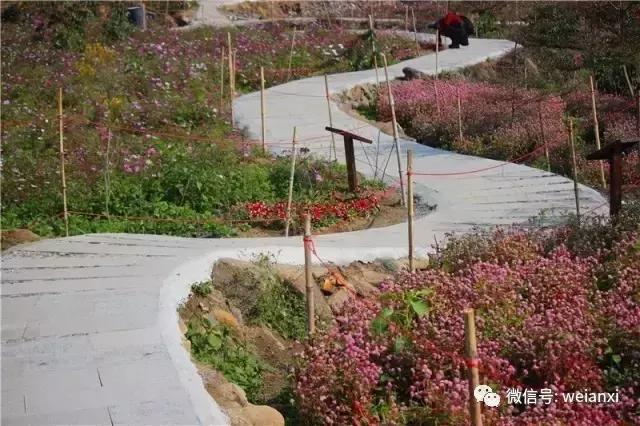 安溪最好看的风景,安溪哪个风景好