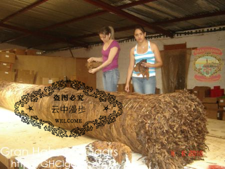 超级昂贵的雪茄,雪茄昂贵系列