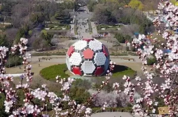 劳动公园大足球内部样子,劳动公园大足球叫什么