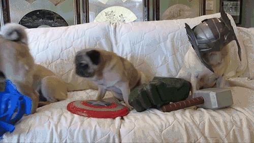 精辟广东话成语,广东话成语有多少