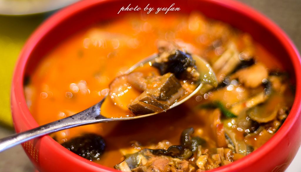 云端上的世外桃源，看看浇灌牛奶和土鸡蛋的有机乌龙茶长成啥样