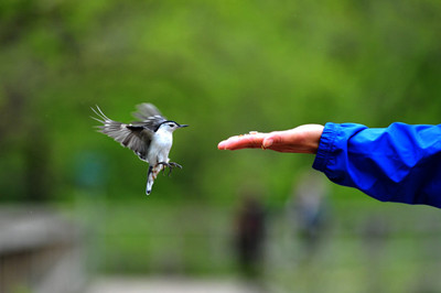 一般销售都不知道的开单小秘密,跟大家分享一些开网店的利弊