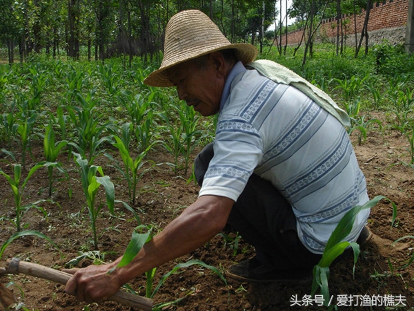 农民种地不容易顺口溜,农村种地顺口溜希望朋友们喜欢